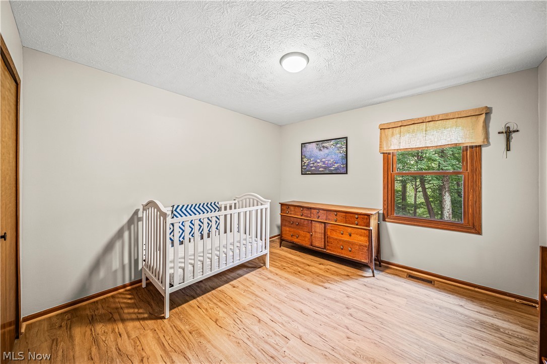 10625 Butternut Road Chesterland, OH 44026 - Photo 20 of 47
