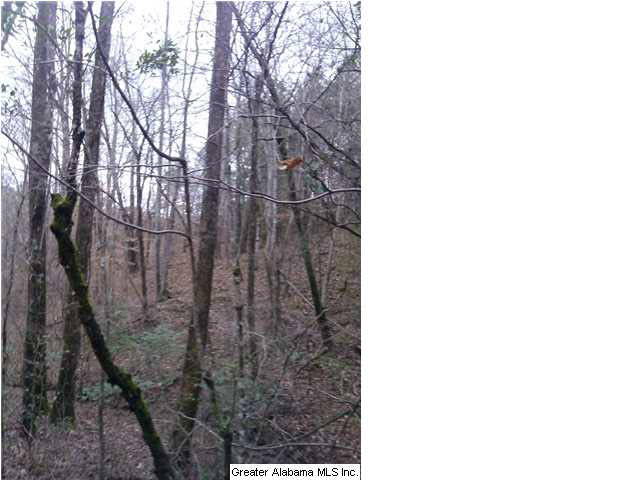 849 County Road, Unit 47 Wadley, AL 36276 - Photo 5 of 7