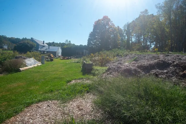 a view of a field with a tree in the background