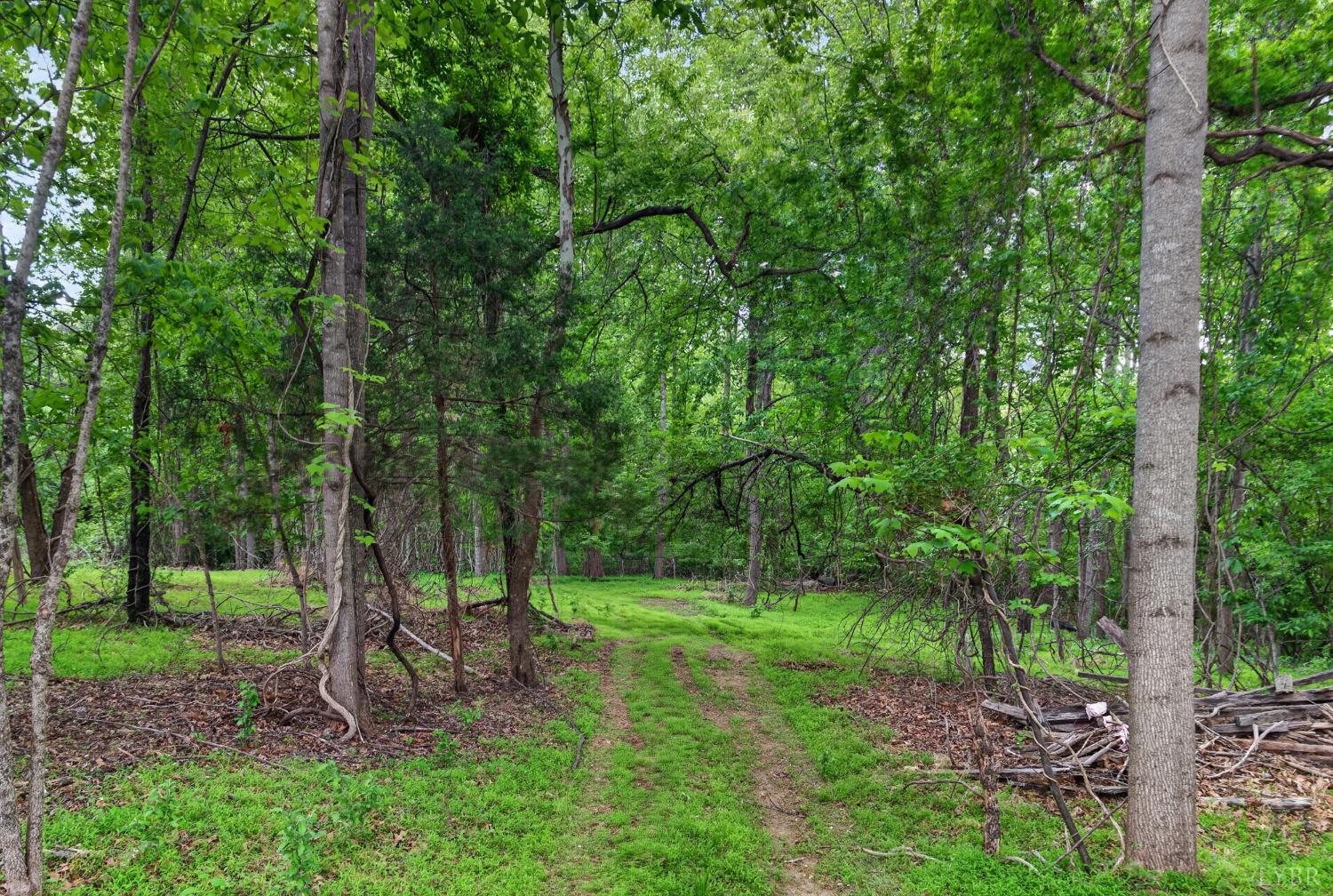 305 Winston Ridge Road Lynchburg, VA 24501 - Photo 21 of 22 Gallery Image 21