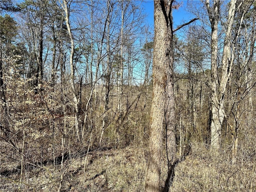 0 Fisher Ridge Road Fleming, OH 45729 - Photo 4 of 6 View of local wilderness