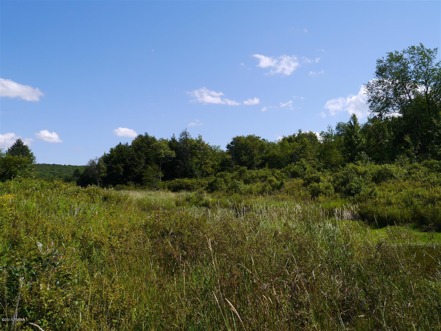 Beaverhollow Road Starrucca, PA 18462 - Photo 5 of 9
