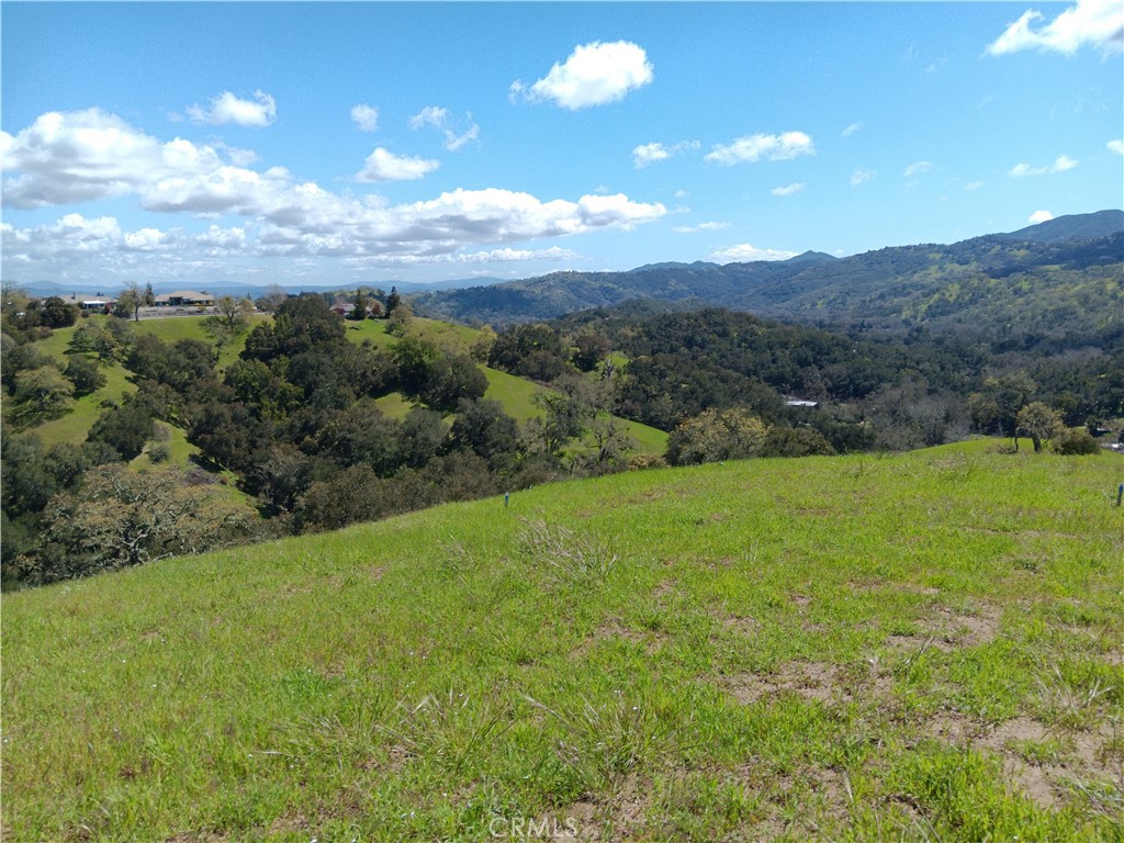 a view of an outdoor space and a yard