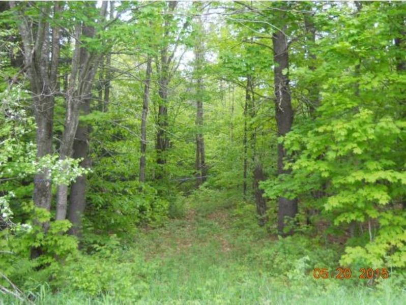0 East Road, Unit 4 Cornish, NH 03745 - Photo 4 of 8 Gallery Image 4