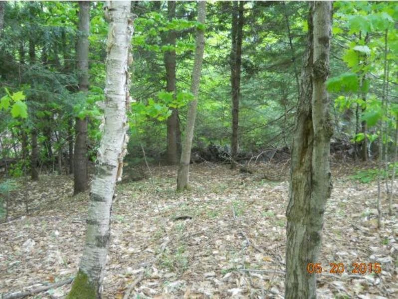 0 East Road, Unit 4 Cornish, NH 03745 - Photo 5 of 8 Gallery Image 5