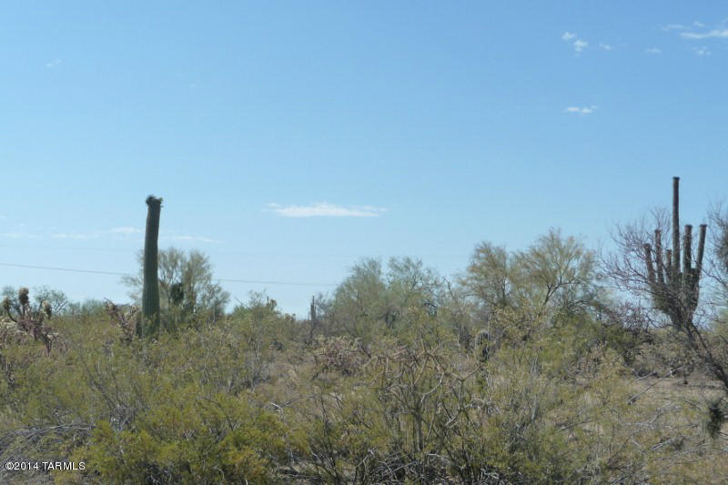 Xx South Cattle Tank Road, Unit 11 48) Marana, AZ 85658 - Photo 5 of 19