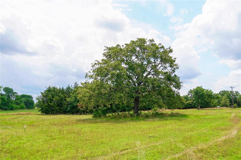 7527 Highway 1753 Denison, TX 75021 - Photo 6 of 10 a view of a field with trees in the background