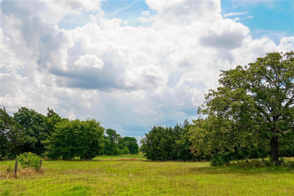 7527 Highway 1753 Denison, TX 75021 - Photo 7 of 10 a view of yard with swimming pool and trees in the background