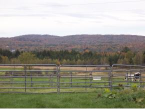 237 Hill Road Fairfield, VT 05455 - Photo 2 of 6