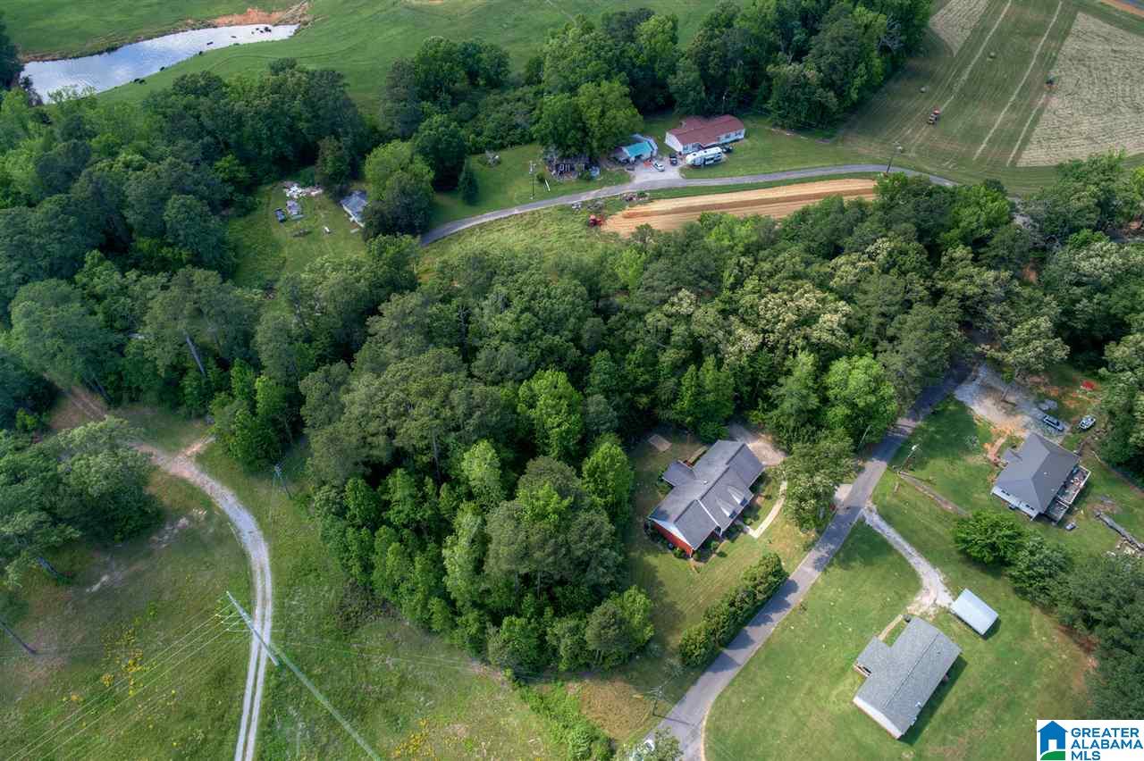631 Dana Road Warrior, AL 35180 - Photo 21 of 41