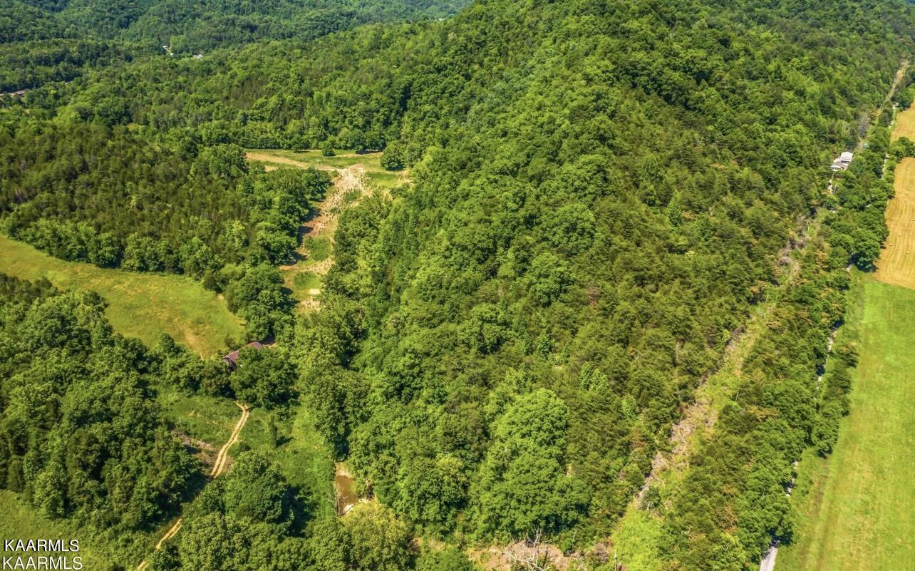 Joe Alder Road Kyles Ford, TN 37765 - Photo 1 of 9 8453F2C1-2BC3-45C8-9F74-230254639043