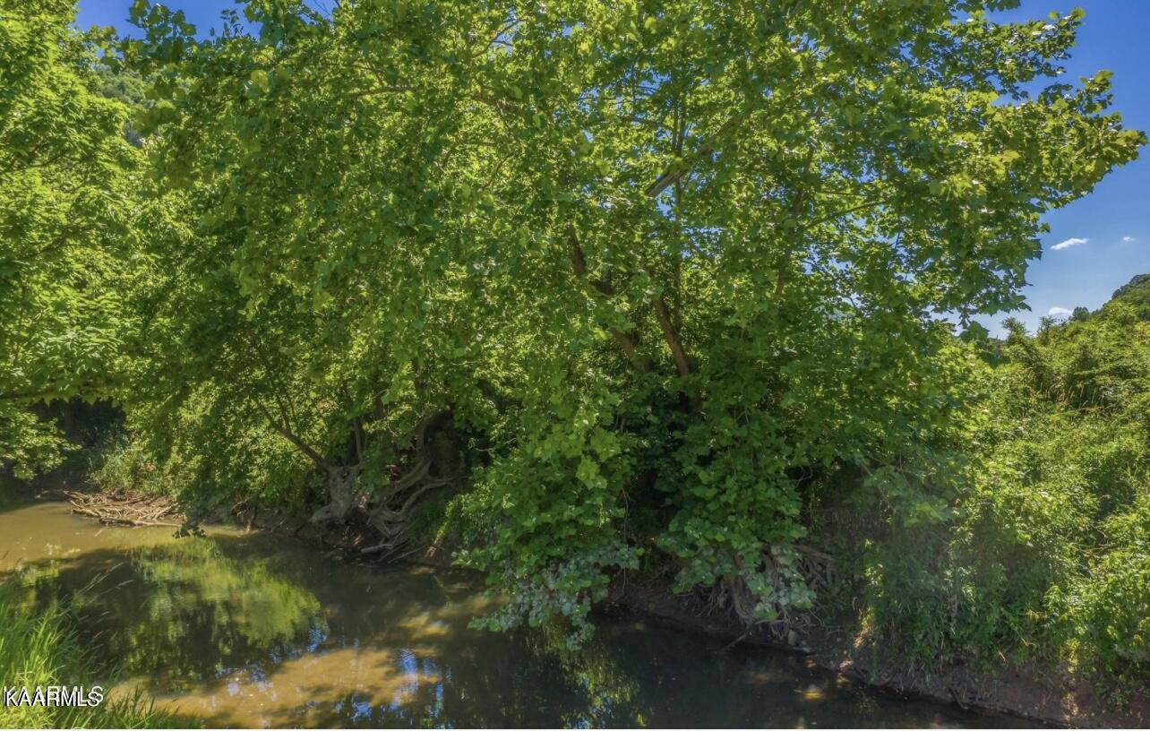 Joe Alder Road Kyles Ford, TN 37765 - Photo 3 of 9 CD11FC87-1699-4ECB-BA99-C7C422AF807B