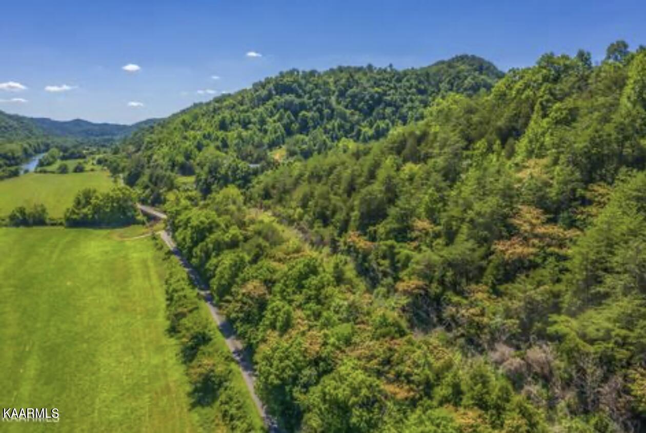 Joe Alder Road Kyles Ford, TN 37765 - Photo 4 of 9 D9A1E824-8F60-46AF-B82C-F84C4B3CB9A4