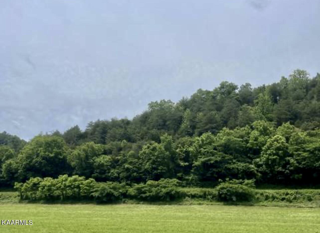 Joe Alder Road Kyles Ford, TN 37765 - Photo 6 of 9 E2EA8333-A52D-4FBF-8423-219C5BF64413