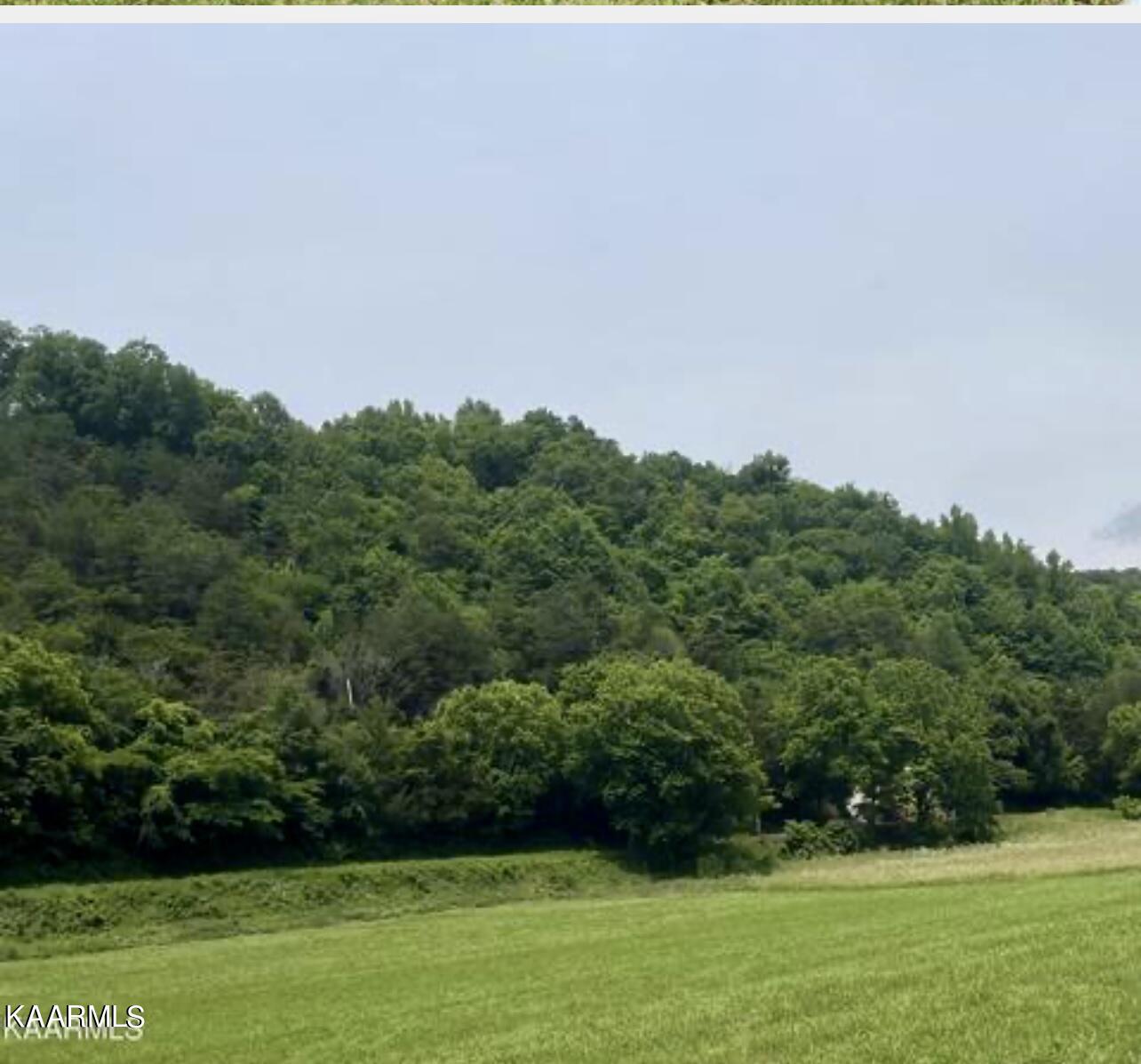 Joe Alder Road Kyles Ford, TN 37765 - Photo 7 of 9 692DBE68-80A8-47B4-9CE2-89D752BCB694