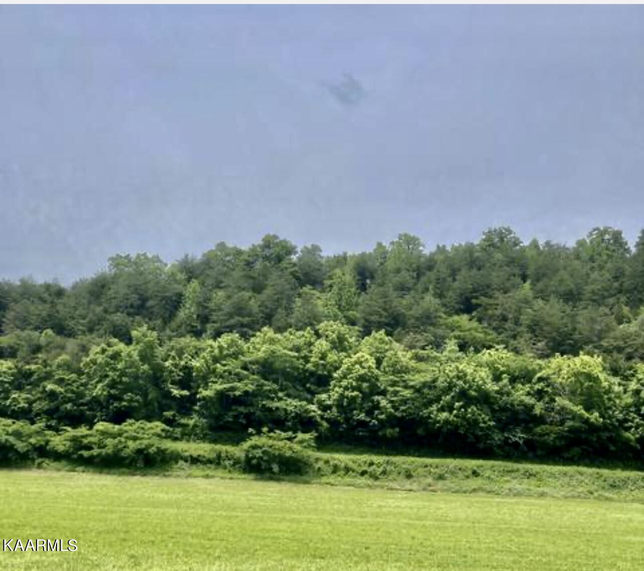 Joe Alder Road Kyles Ford, TN 37765 - Photo 8 of 9 DD538AAC-87F6-436A-83A8-BD10139F1EFD