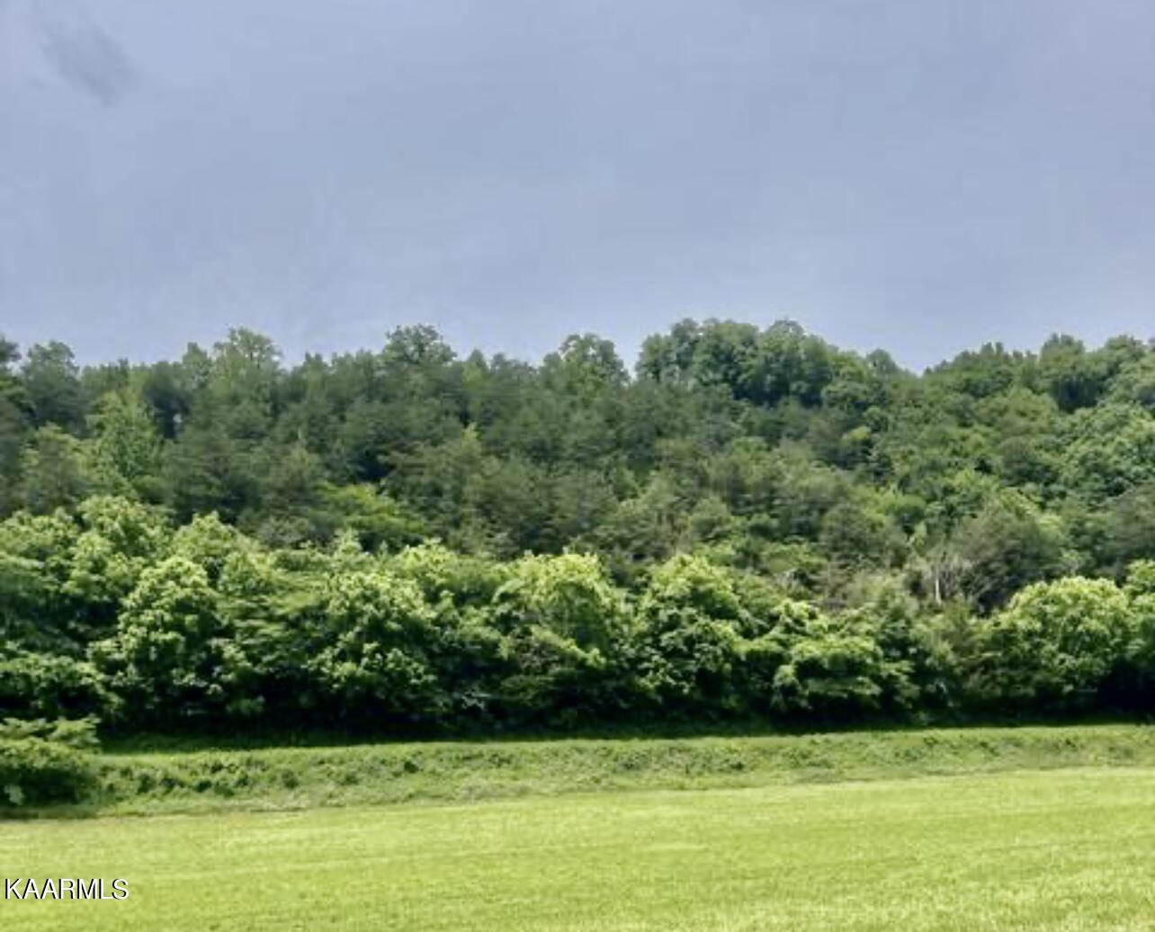 Joe Alder Road Kyles Ford, TN 37765 - Photo 9 of 9 49EDEDDD-9761-4E2A-BBD8-C644FB07C4BA