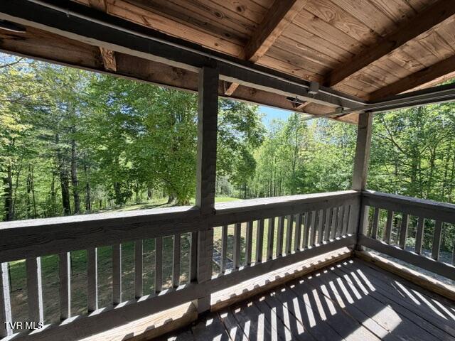 335 Bear Cage Road Roan Mountain, TN 37687 - Photo 29 of 68 IMG_1168