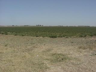 1 Lewis Road Dixon, CA 95687 - Photo 1 of 4 Gallery Image 1