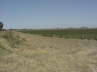 1 Lewis Road Dixon, CA 95687 - Photo 2 of 4 Gallery Image 2