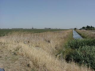 1 Lewis Road Dixon, CA 95687 - Photo 3 of 4 Gallery Image 3