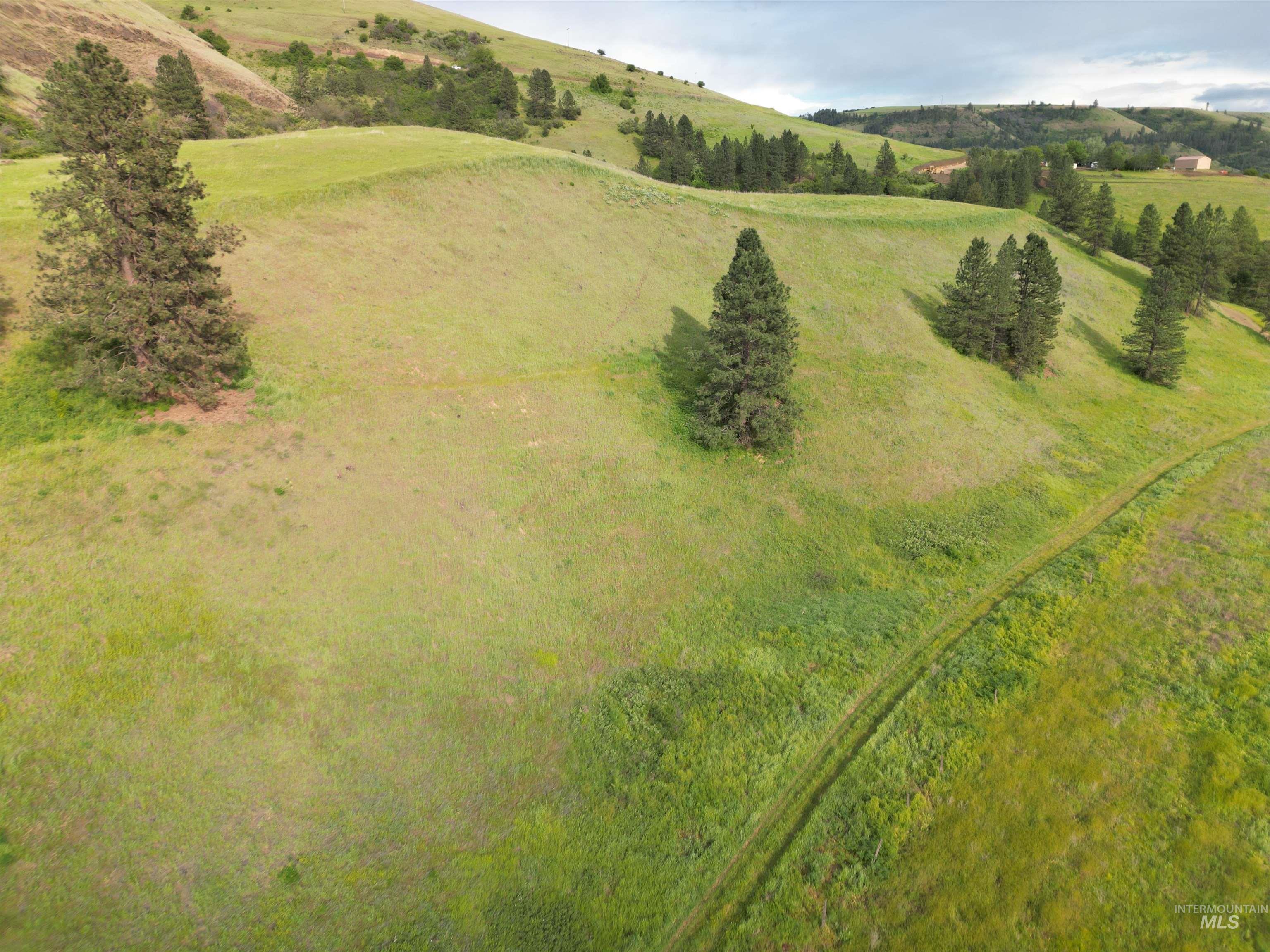 0 American Ridge Road Kendrick, ID 83537 - Photo 5 of 25