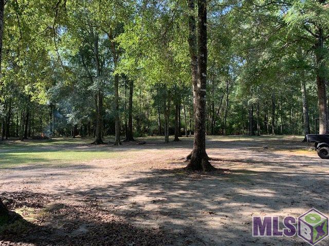 29550 Henry White Road Albany, LA 70711 - Photo 40 of 43