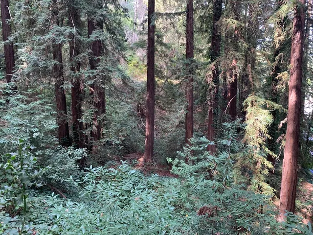 $19,999 | 21745 Lindbergh Drive, Los Gatos, CA 95033