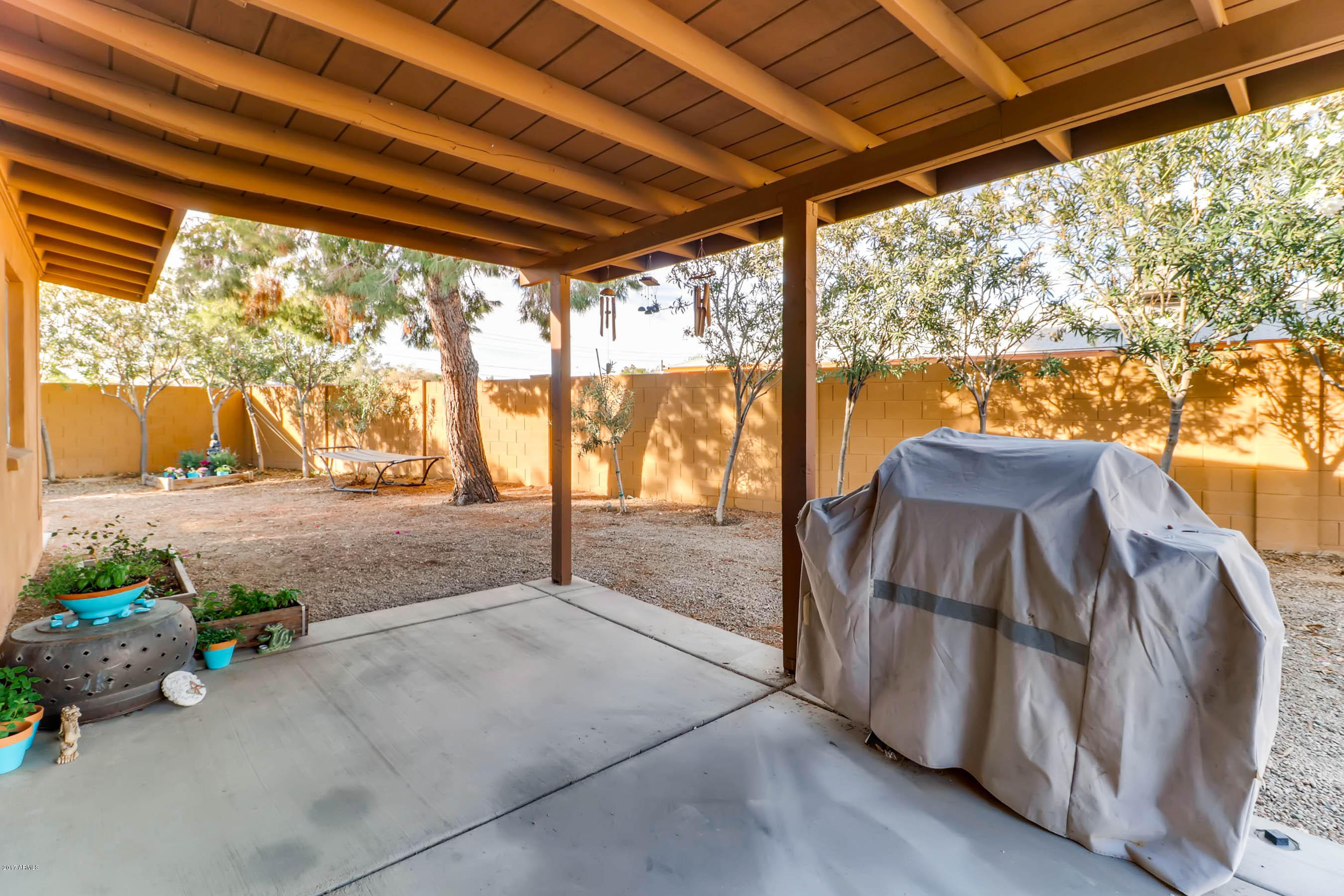 2936 East Cactus Road Phoenix, AZ 85032 - Photo 23 of 28 Back Patio