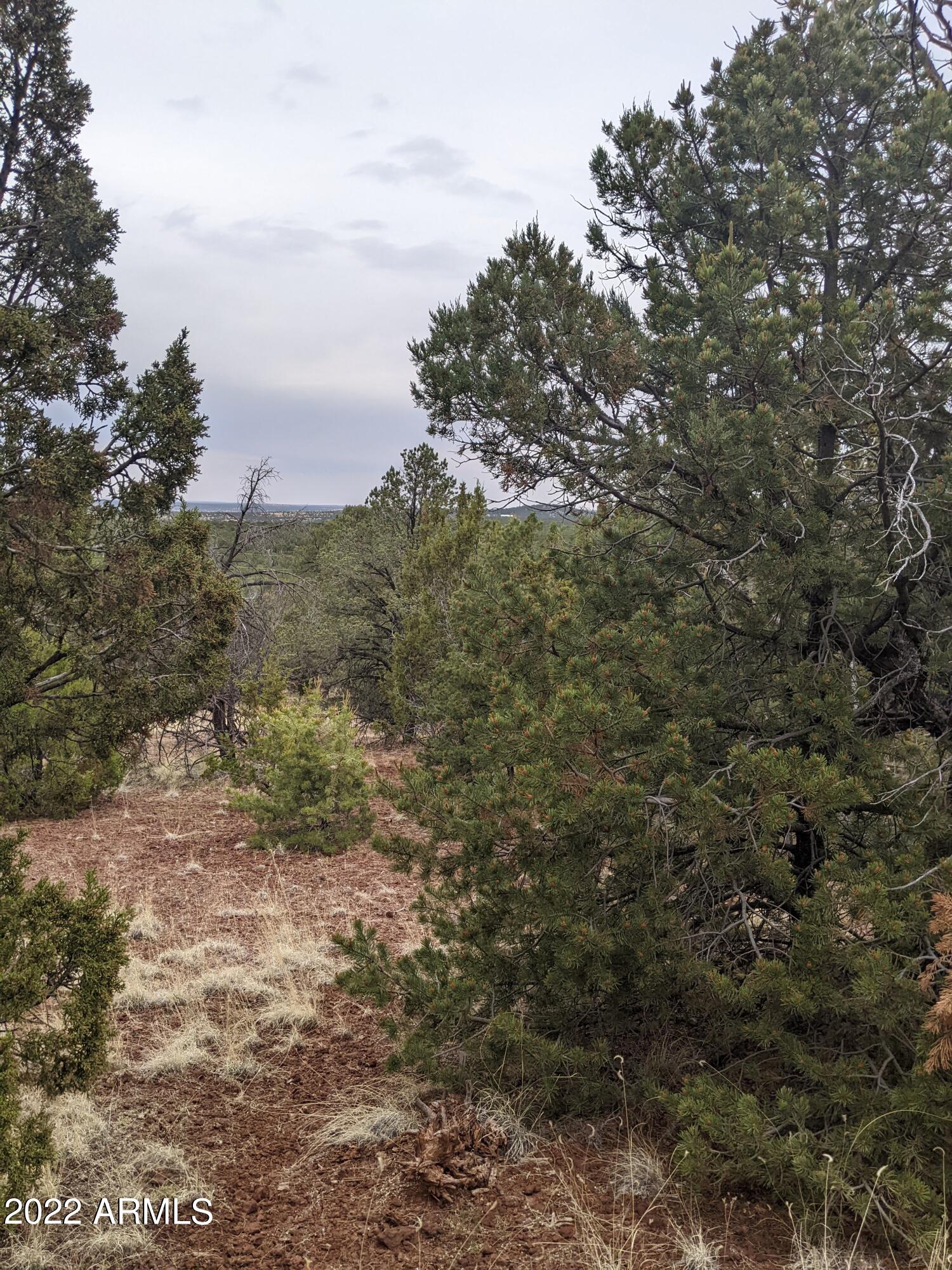 Lot 91 Ranch Road, Unit 91 Concho, AZ 85924 - Photo 11 of 11 PXL_20220618_151733996
