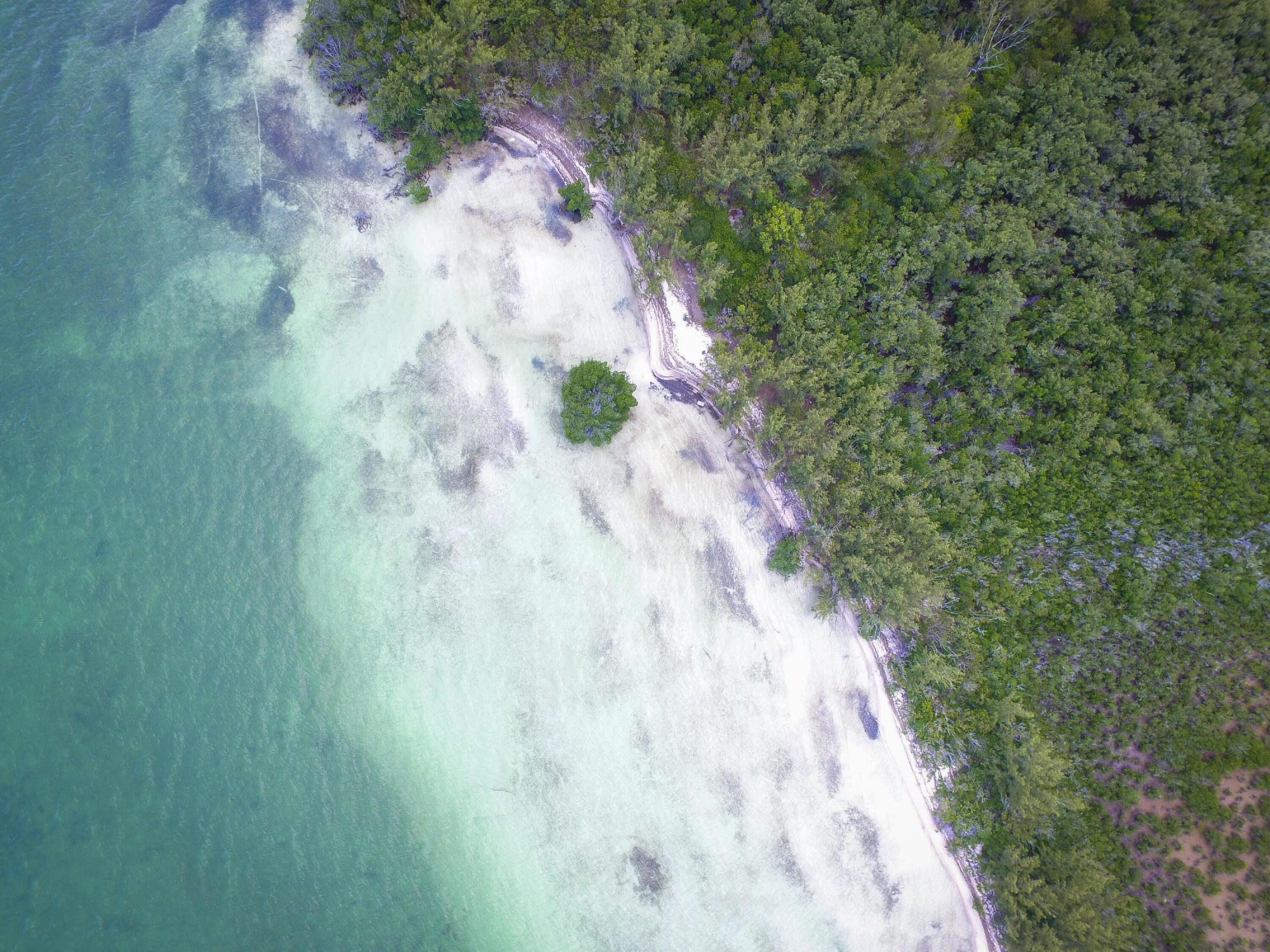 Main Key Key Largo, FL 33037 - Photo 31 of 64 Main Key