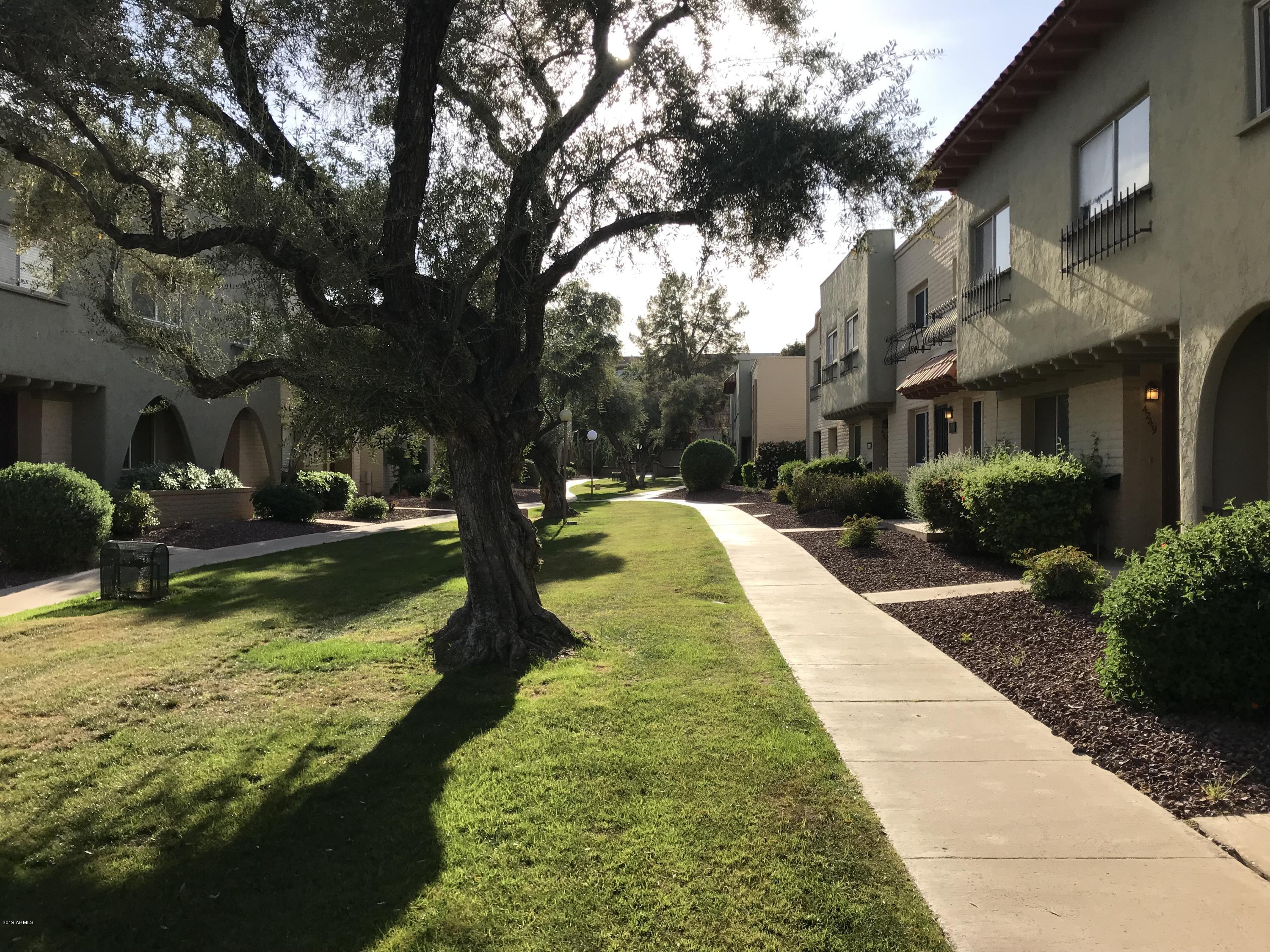 4213 North Miller Road Scottsdale, AZ 85251 - Photo 20 of 33 View in between the Townhomes