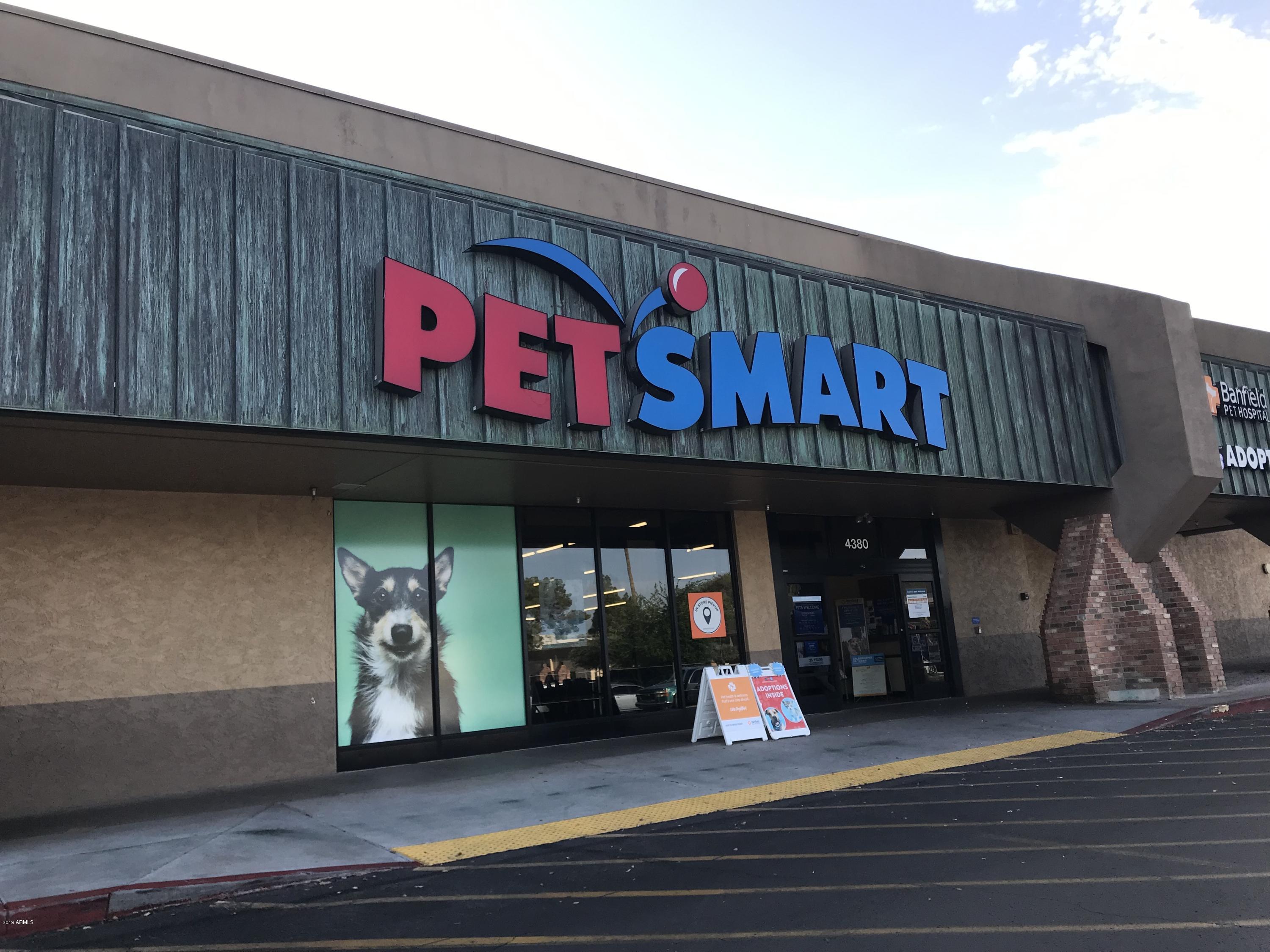 4213 North Miller Road Scottsdale, AZ 85251 - Photo 29 of 33 PetSmart