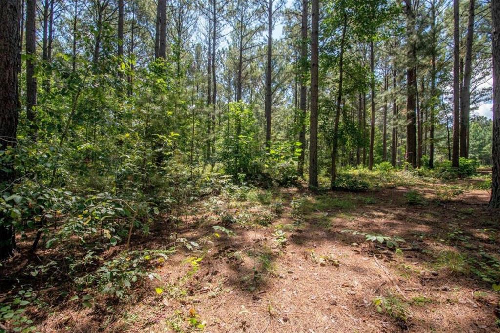 4079 Primrose Road Grantville, GA 30220 - Photo 45 of 46 Gallery Image 45