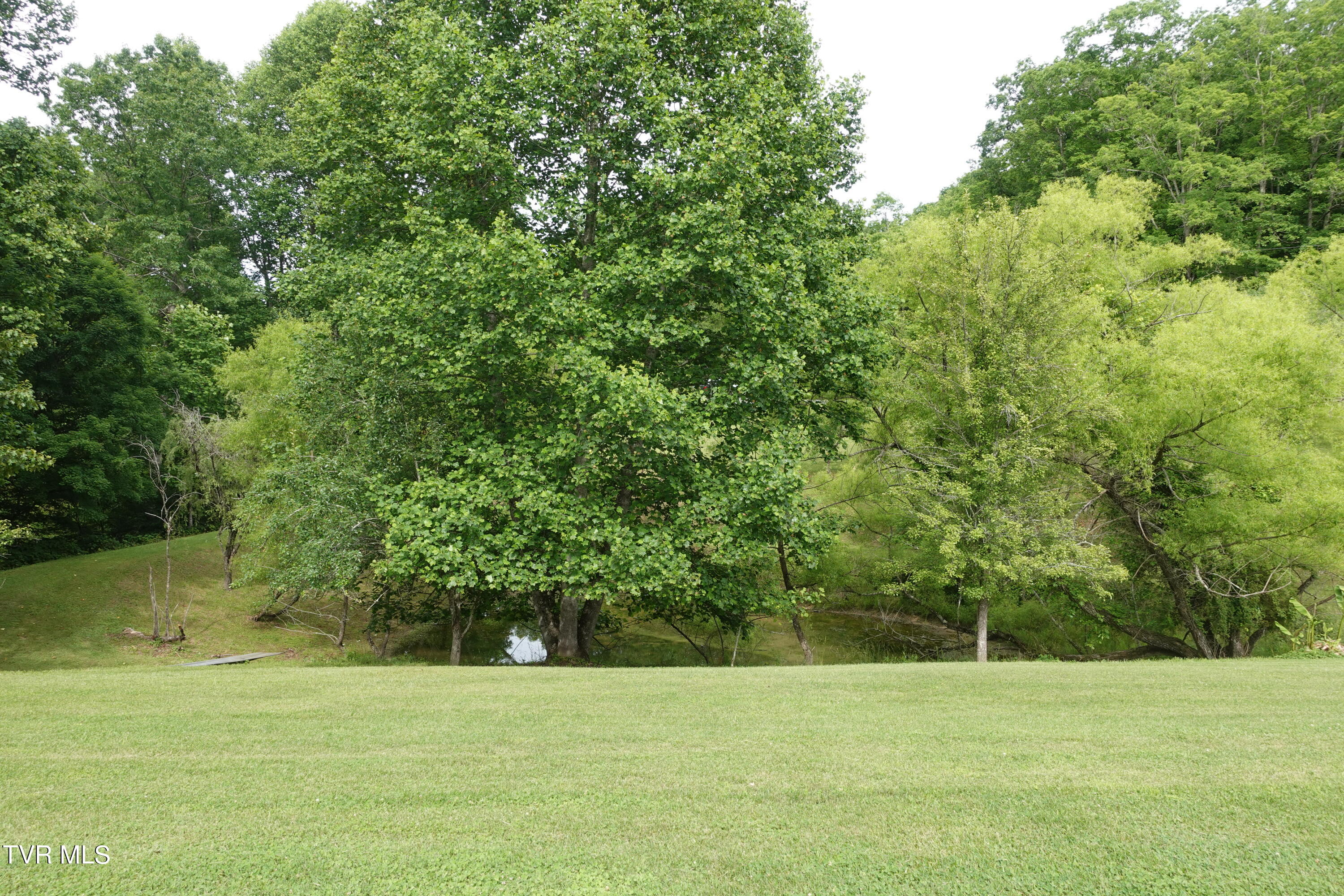 639 Dream Farm Road Birchleaf, VA 24220 - Photo 92 of 153 DSC00303