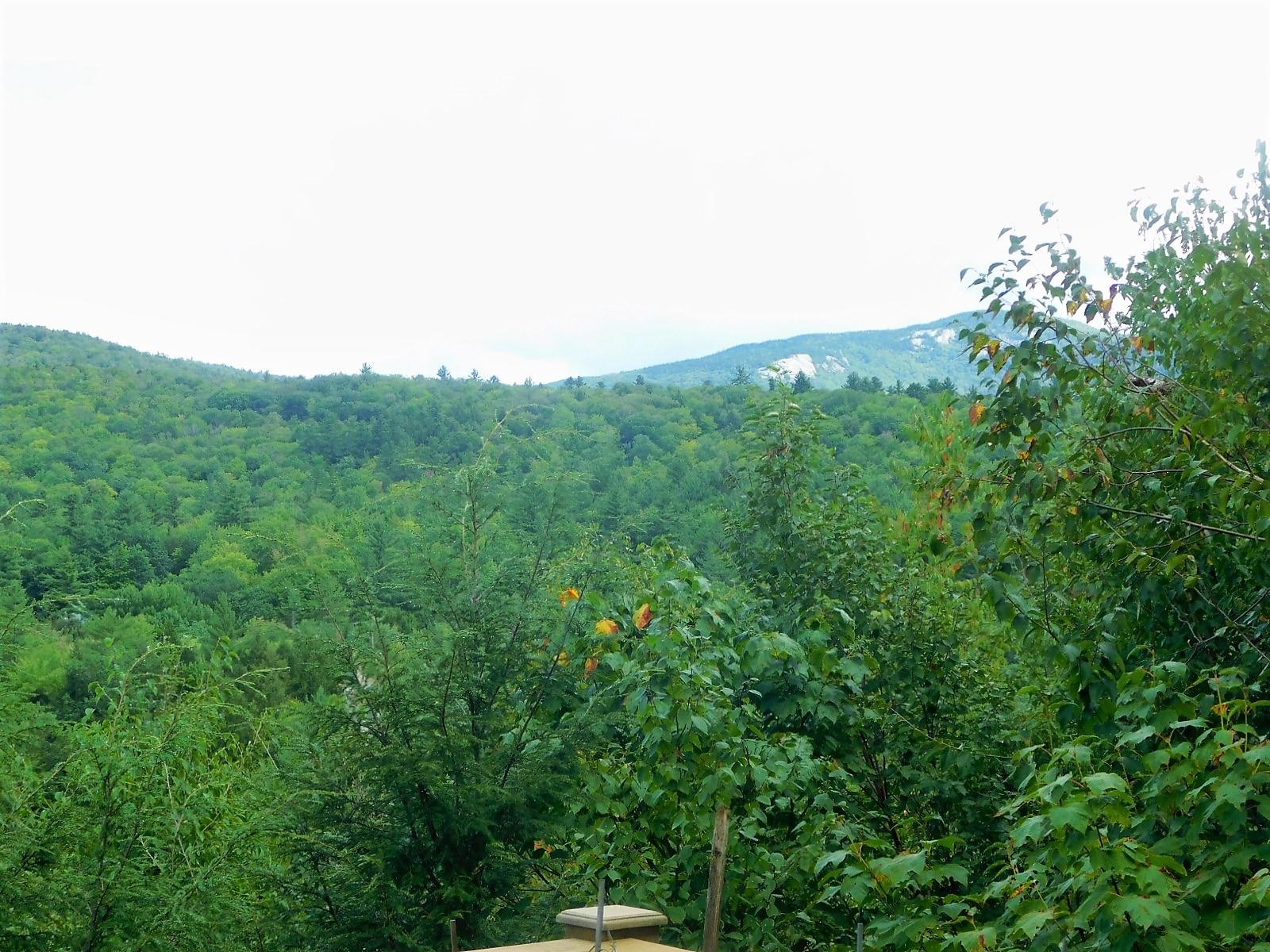 54 Welch View Drive Thornton, NH 03285 - Photo 14 of 40