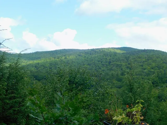 $15,000 | 54 Welch View Drive, Thornton, NH 03285