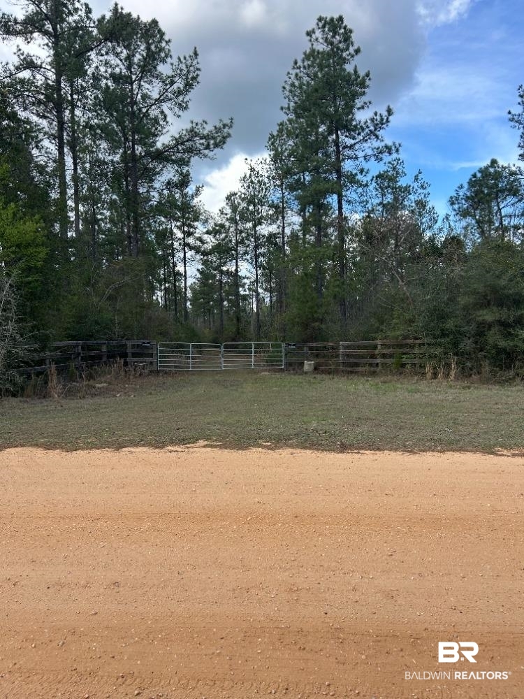 0 Murder Creek Road Brewton, AL 36426 - Photo 7 of 8 View of yard