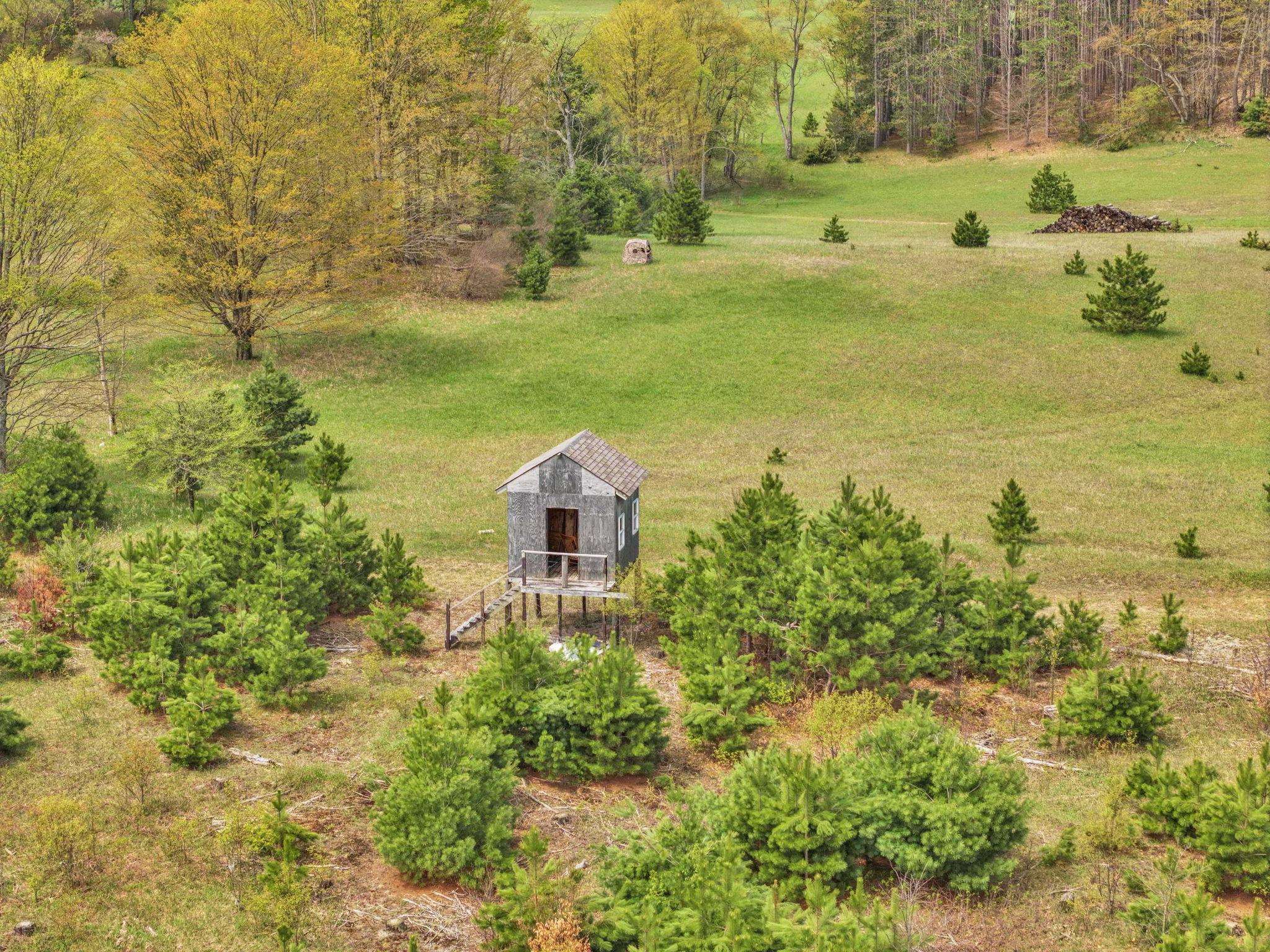 22386 16 Mile Road Leroy, MI 49655 - Photo 49 of 63