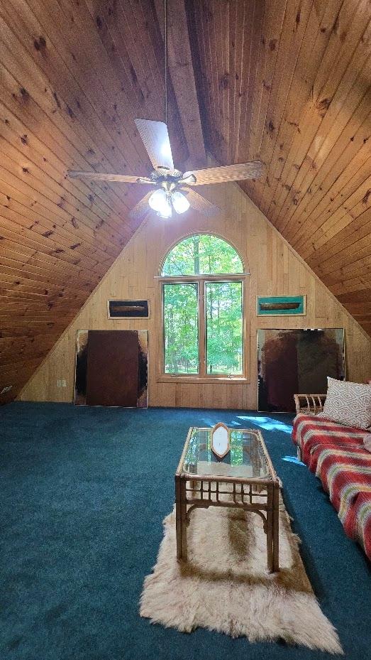 5420 Birch Lake Road Harshaw, WI 54529 - Photo 18 of 71 Gallery Image 18