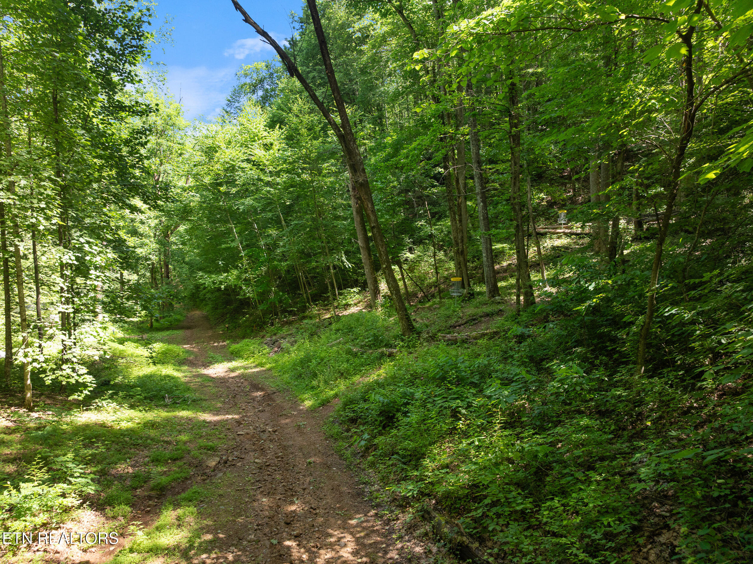 2792 Happy Hollow Road Sevierville, TN 37862 - Photo 25 of 59 55_2792 happy hollow-50