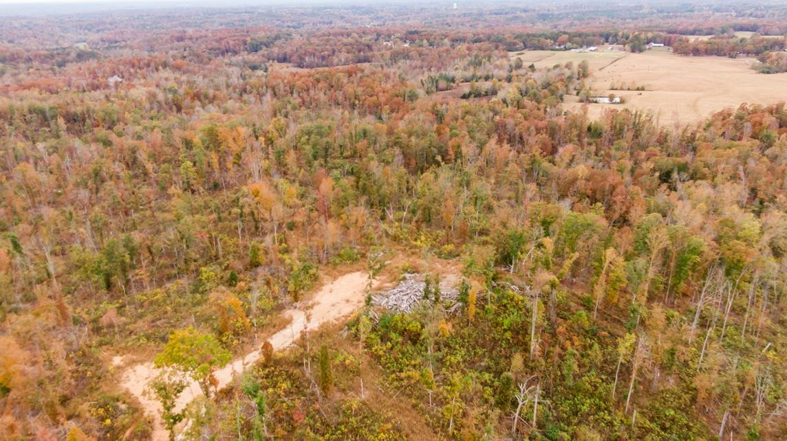 Xxxx Mouse Tail Road Parsons, TN 38363 - Photo 11 of 35 Photo 11