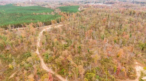 $699,750 | Xxxx Mouse Tail Road, Parsons, TN 38363