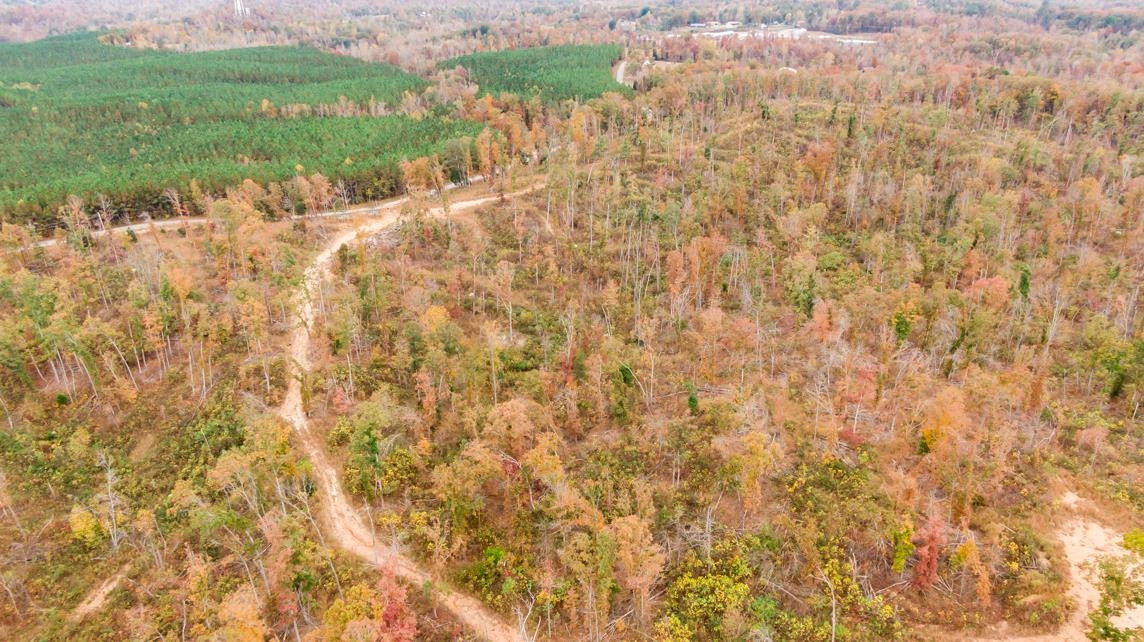 Xxxx Mouse Tail Road Parsons, TN 38363 - Photo 12 of 35 Photo 12