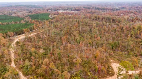$699,750 | Xxxx Mouse Tail Road, Parsons, TN 38363