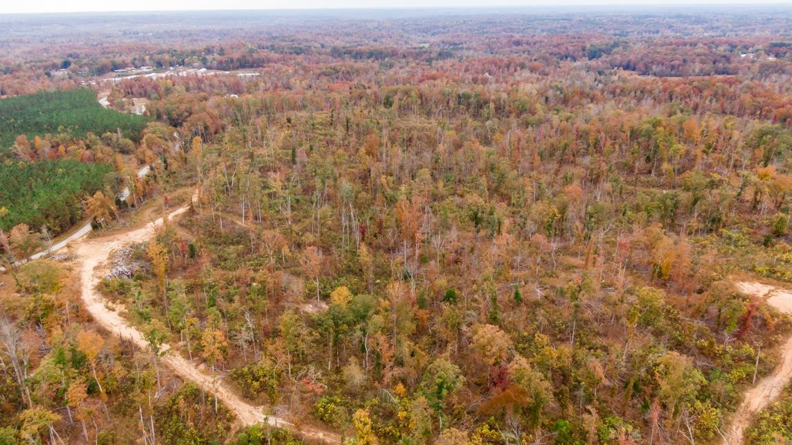 Xxxx Mouse Tail Road Parsons, TN 38363 - Photo 14 of 35 Photo 14