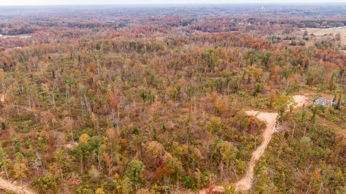 Xxxx Mouse Tail Road Parsons, TN 38363 - Photo 15 of 35 Photo 15