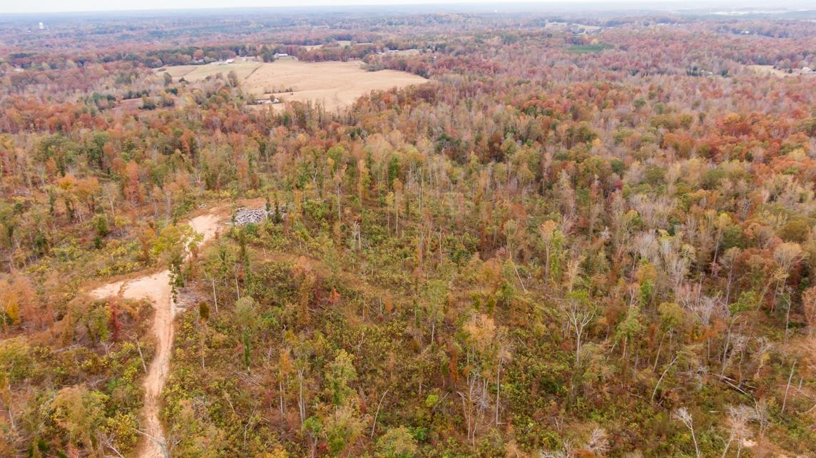 Xxxx Mouse Tail Road Parsons, TN 38363 - Photo 16 of 35 Photo 16