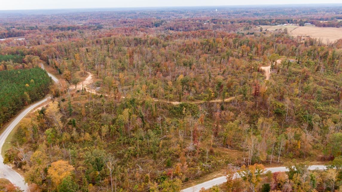 Xxxx Mouse Tail Road Parsons, TN 38363 - Photo 20 of 35 Photo 20