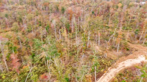 $699,750 | Xxxx Mouse Tail Road, Parsons, TN 38363